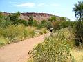 A 285 Alice Springs - Desert Park